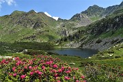 Anello Laghi di Porcile,Passo di Tartano, Cima-Passo di Lemma da Baita del Camoscio (28 giu.2020)- FOTOGALLERY